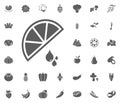 Lemon icon. Fruit and Vegetables vector illustration icon set. food and plant symbols. Royalty Free Stock Photo