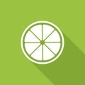 Lemon icon. Citrus symbol, flat design style vector illustration Royalty Free Stock Photo