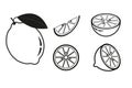 Lemon icons set isolate on white background