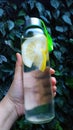 lemon infused water to keep the body healthy