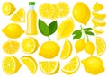 Lemon isolated cartoon set icon.Vector illustration citrus fruit on white background .Cartoon vector set icon lemon. Royalty Free Stock Photo