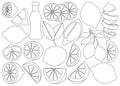 Lemon isolated Outline set icon.Vector illustration citrus fruit on white background .Outline vector set icon lemon.