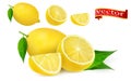 Set of ripe juicy lemon whole and lobule realistic vector high detail. Lemon juice Fresh fruit, 3d vector icon.