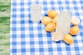 lemon juice and typical yellow sliced lemon on a green chalkboard Royalty Free Stock Photo