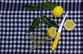 Lemon and knife on the cloth