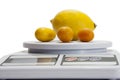 Lemon and kumquats on a kitchen digital scale Royalty Free Stock Photo