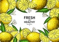 Lemon label vector drawing. Citrus fruit frame template.