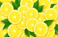 Lemon and leaf. Citrus pattern.