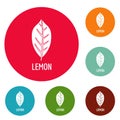 Lemon leaf icons circle set vector
