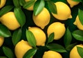 Lemon with leaves background, top view, heap of citrus fruits Royalty Free Stock Photo