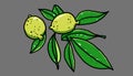 Lemon leaves illustration