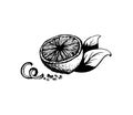 Lemon with leaves and zest sketch ink vector illustration Royalty Free Stock Photo