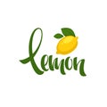 Lemon lettering composition for your citrus juice logo, label, e Royalty Free Stock Photo