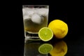 Lemon Lime & Bitters Royalty Free Stock Photo