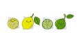 Lemon and lime fruit with smile on white background. Whole citrus fetus and its half. Cartoon sketch. Freehand doodle style with Royalty Free Stock Photo