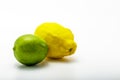 Lemon and Lime Fruit On White Background