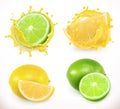 Lemon and lime juice. Fresh fruit, 3d vector icon Royalty Free Stock Photo