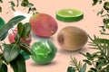 lemon and lime with kivi and mango citrus lime  green  lrmon on green leaves  water splash   on  pink coral  tropical   backgroun Royalty Free Stock Photo