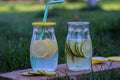 Lemon and lime lemonade in the sun in the garden3 Royalty Free Stock Photo