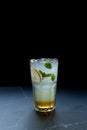 Lemon Lime Mint Italian Soda Sparkling Mocktail Cocktail Vodka