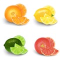 Lemon, Lime, Orange, Grapefruit Fresh Fruit Set. Realistic 3d vector illustration set. Isolated design elements for packaging. Pr Royalty Free Stock Photo