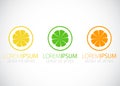 Lemon, lime and orange - logo sign.