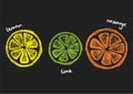 Lemon lime and orange simpe vector