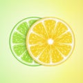 Lemon and lime slices Royalty Free Stock Photo