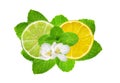 Lemon and lime slices on fresh mint isolated on white Royalty Free Stock Photo