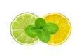 Lemon and lime slices and mint herb isolated on white Royalty Free Stock Photo