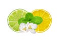 Lemon and lime slices and mint herb isolated on white Royalty Free Stock Photo