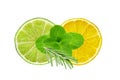 Lemon and lime slices, mint and rosemary herb isolated on white Royalty Free Stock Photo