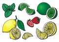 Lemon lime and strawberry hand drawn graphic Royalty Free Stock Photo