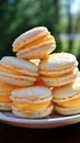 Lemon macarons stack with creamy filling on white plate in sunlight Creamsicle Macaroons Royalty Free Stock Photo