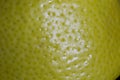Lemon, macro, fruit, texture, yellow, peel, toning,, fresh Royalty Free Stock Photo