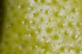 Lemon, macro, fruit, texture, yellow, peel, toning,, fresh Royalty Free Stock Photo