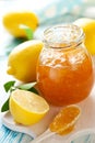 Lemon Marmalade Royalty Free Stock Photo