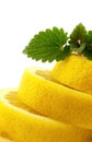 Lemon and melisa Royalty Free Stock Photo