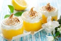 Lemon Meringue Dessert Royalty Free Stock Photo