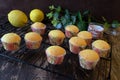 Selective focus of Lemon mini cupcakes