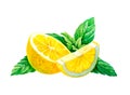 Lemon with mint leaves isolated on white watercolor illustration