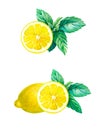 Lemon with mint leaves isolated on white watercolor illustration Royalty Free Stock Photo