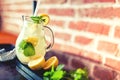 Lemon and mint lemonade, fresh summer refreshment Royalty Free Stock Photo