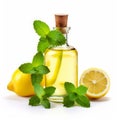 lemon mint oil a refreshing essential oil blend of lem Royalty Free Stock Photo