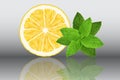 Lemon and mint reslistic vector illustration on grey background