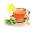 Lemon mint tea in transparent glass cup. Hand drawn watercolor illustration. Royalty Free Stock Photo