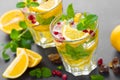 Lemon mojito cocktail with fresh mint and pomegranate, cold refreshing summer drink or beverage with ice