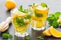 Lemon mojito cocktail with mint