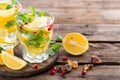 Lemon mojito cocktail with mint and pomegranate