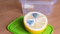 Lemon mold. Green mold on half a lemon. Royalty Free Stock Photo